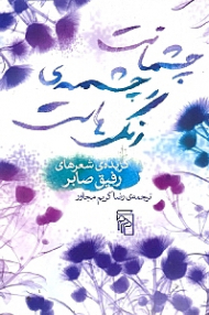 چشمانت چشمه رنگ هاست (گزیده شعرهای رفیق صابر)