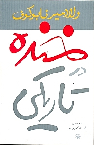 خنده در تاریکی