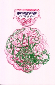 قصه های این وری (مجموعه داستان طنز)