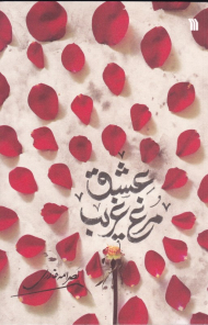 مرغ غریب عشق