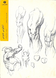 آناتومی عمومی