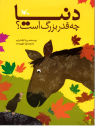 دنیا چه قدر بزرگ است؟