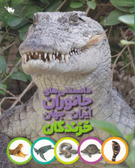 خزندگان (دانستنی های جانوران ایران و جهان)