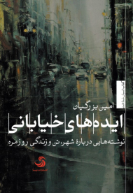 ایده های خیابانی (نوشته هایی درباره شهر، تن و زندگی روزمره)