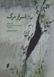 اسرار مرگ (مرگ از دیدگاه مکاتب، اندیشمندان، عرفا، شاعران و امام علی علیه السلام)