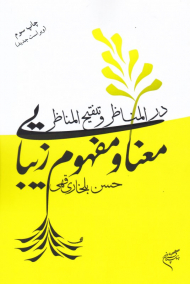 معنا و مفهوم زیبایی در المناظر و تنقیح المناظر