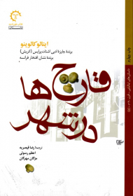 قارچ ها در شهر