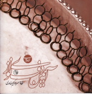 آیین دف نوازی (کتاب دوم)