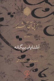 در پی آن آشنا 2 (آشنایان بیگانه)