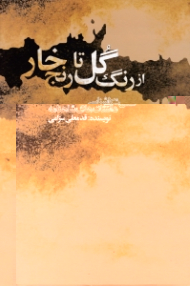 از رنگ گل تا رنج خار (شکل شناسی داستان های شاهنامه)