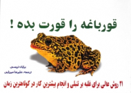 قورباغه را قورت بده! (21 روش عالی برای غلبه بر تنبلی و انجام بیشترین کار در کوتاهترین زمان)