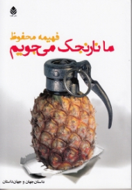 ما نارنجک میجویم (مجموعه داستان)