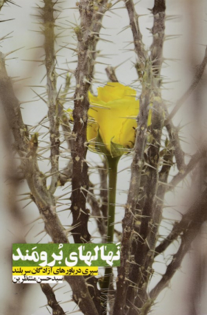 نهال های برومند (سیری در باورهای آزادگان سربلند)