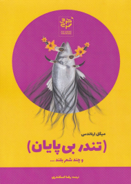 تندر بی پایان و چند شعر بلند