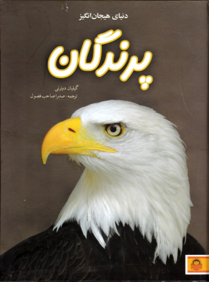 دنیای هیجان انگیز پرندگان