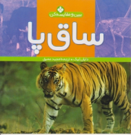 ساق پا (ببین و مقایسه کن)