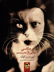 عکاسی، نمایی از مدرنیسم