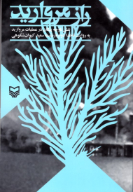 راز مروارید (نقشه ناوچه پیکان در عملیات مروارید به روایت ناخدا دوم بازنشسته سعید کیوان شکوهی)