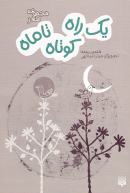 یک راه کوتاه تا ماه