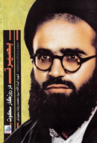 بصیرت در روزگار سکوت (مروری بر زندگی و خاطرات شهید آیت الله سید محمدرضا سعیدی)