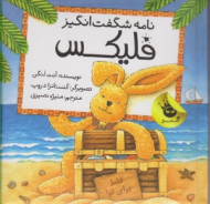 نامه شگفت انگیز فلیکس