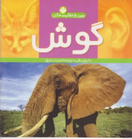 گوش (ببین و مقایسه کن)