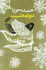 همیشه حق با دیوانه هاست