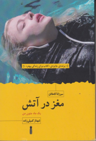 مغز در آتش (یک ماه جنون من)