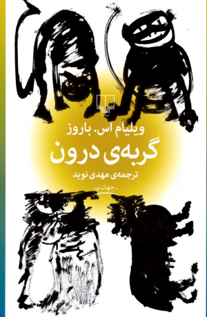 گربه درون