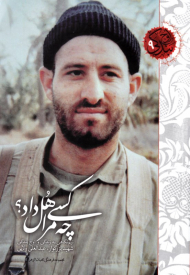 چه کسی مرا هل داد؟ (نیم نگاهی به زندگی و اوج بندگی شهید بزرگوار، عبدالعلی ولایی)