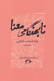 نابهنگامی معنا (چند جستار ادبی)