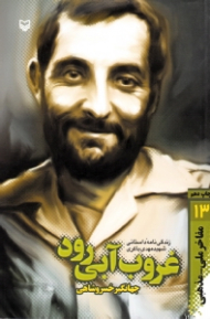 غروب آبی رود (زندگینامه داستانی شهید مهدی باکری)