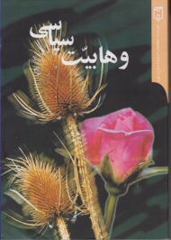 وهابیت سیاسی