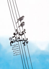 بی تو پریشانم