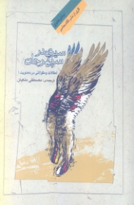 سیری در سپهر جان (مقالات و مقولاتی در معنویت)