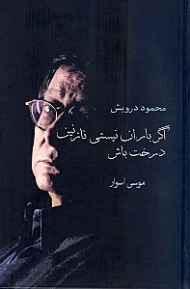 اگر باران نیستی نازنین درخت باش