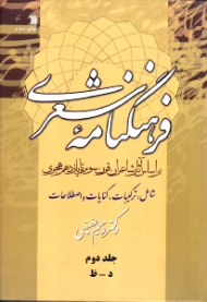 فرهنگنامه شعری 2 (براساس آثار شاعران قرن سوم تا یازدهم هجری، شامل: ترکیبات، کنایات و اصطلاحات، د - ظ)