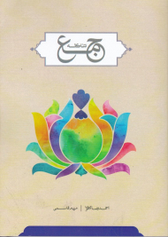 شاکله جمع (از مجموعه کتب بنیادی حوزه انسان)