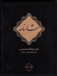 شاهنامه فردوسی جلد 8 (متن انتقادی چاپ مسکو) - - دوره 10 جلدی