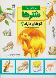 چرا شترها کوهان دارند