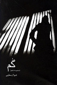 گم (مجموعه شعر)