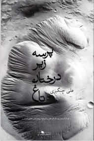 پرسه زیر درخت تاغ