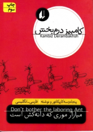 میازار موری که دانه کش است (پنجاه و سه کاریکاتور و نوشته)