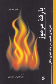 بارقه مرموز (ذهن های هشیار در یک دنیای مادی)