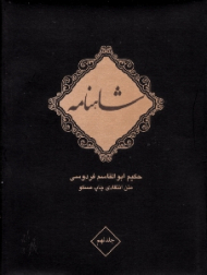 شاهنامه فردوسی جلد 9 (متن انتقادی چاپ مسکو) - دوره 10 جلدی