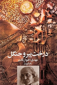 درخت پیر و جنگل