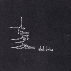 دور و نزدیک (مجموعه عکس خانواده شهدای مدافع حرم)