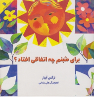 برای شبنم چه اتفاقی افتاد