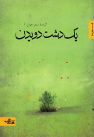 یک دشت دویدن (گزیده شعر جوان 2)