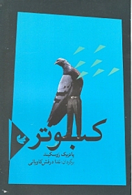 کبوتر